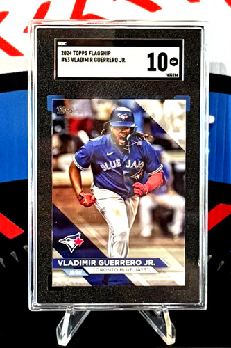 Vladimir guerrero 2024 - vladimir,
