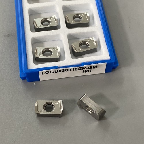 Pezzi logu030310 inserto - 10, logu030310-gm